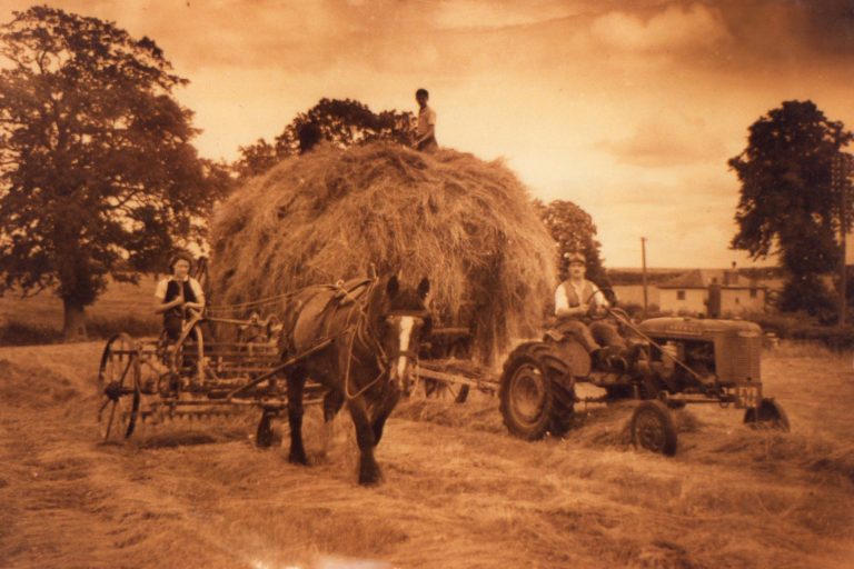 Mary, Edwin and Jim Quick haymaking in the car park, circa 1952