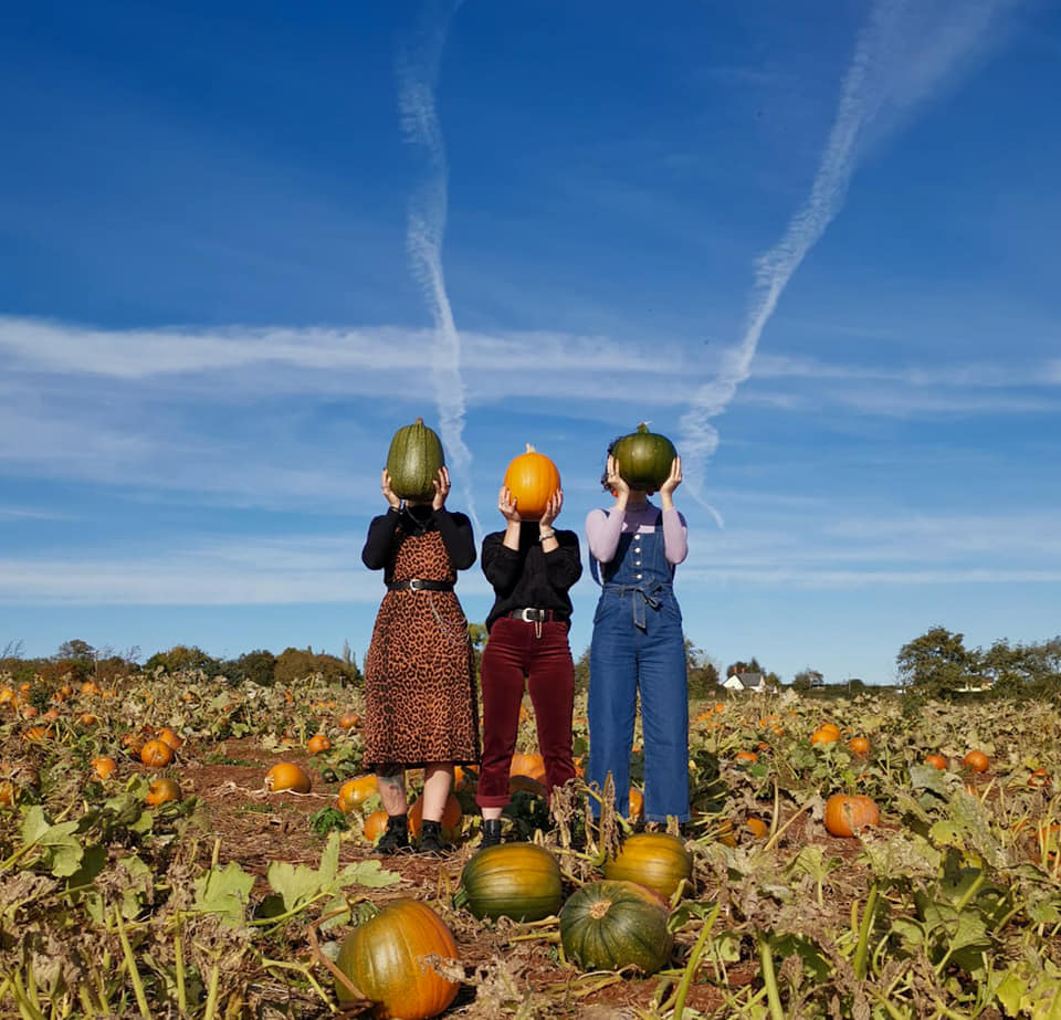 Pumpkins at Thurloxton