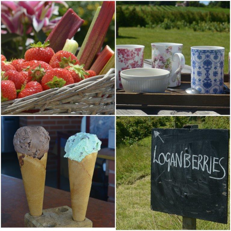 Pick Your Own at Thurloxton